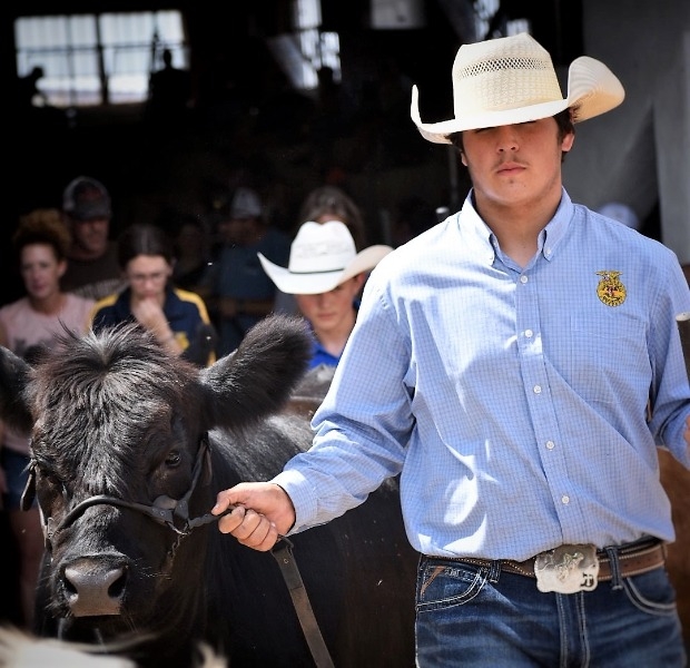 Geary Schools Geary FFA Competes at Blaine County Fair